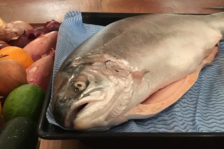 Norwegian Fjord Trout,