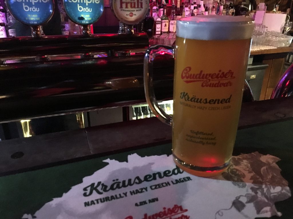 Czechoslovakia's Velvet Revolution celebrated in London 22 The Velvet Revolution at Porterhouse