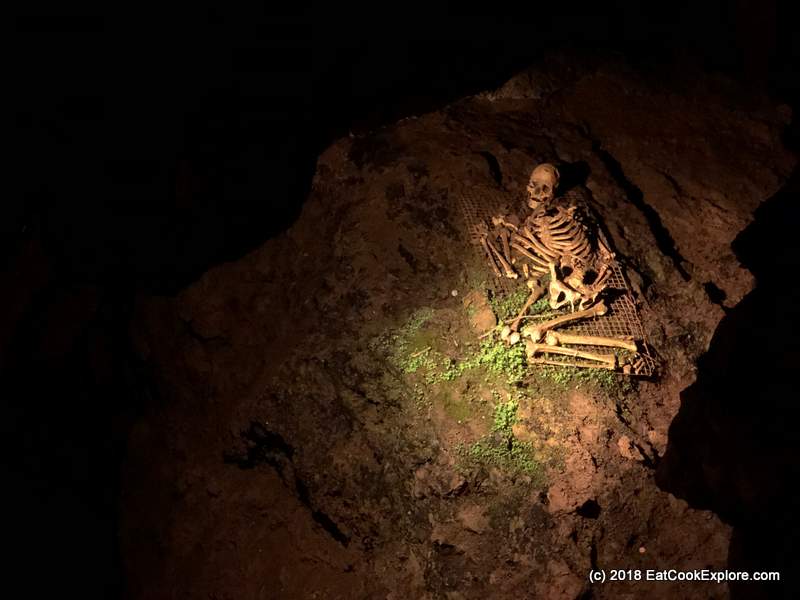 Cheddar Gorge: A Journey to Britain's Dramatic Limestone Wonderland and the Home of Real Cheddar 2 Cheddar Man- The dark-skinned original Briton
