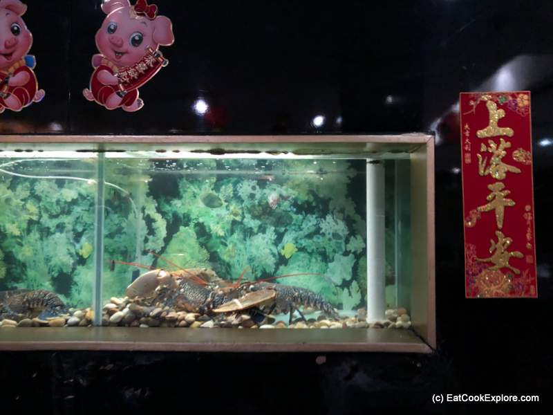 Royal China Carnary Wharf Fish tank with live lobster and fish
