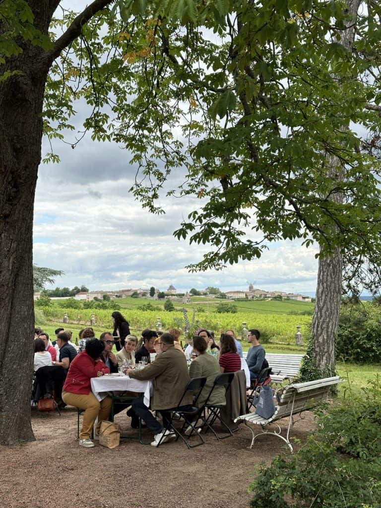 Beaujonomie lunch in vineyard Beaujolais