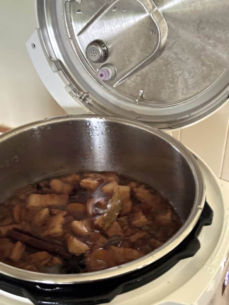 Instant Pot Mini Lu Rou Fan Taiwanese Pork Belly 