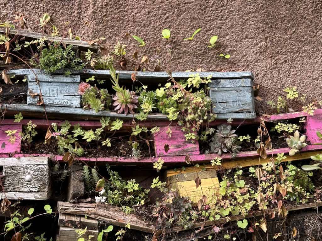 Living wall
