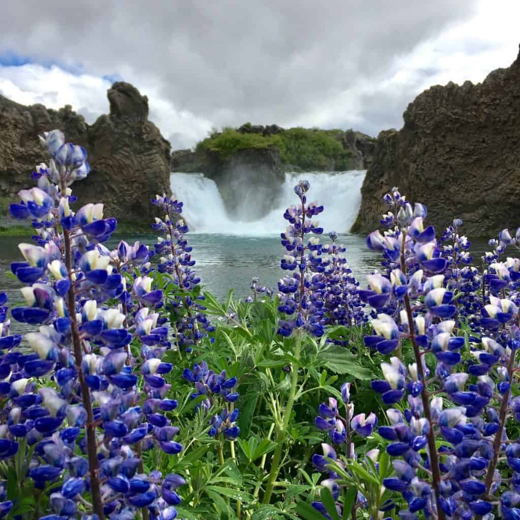 Hjálparfoss waterfall Iceland 