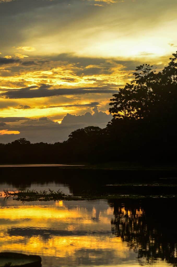Amazon River cruises